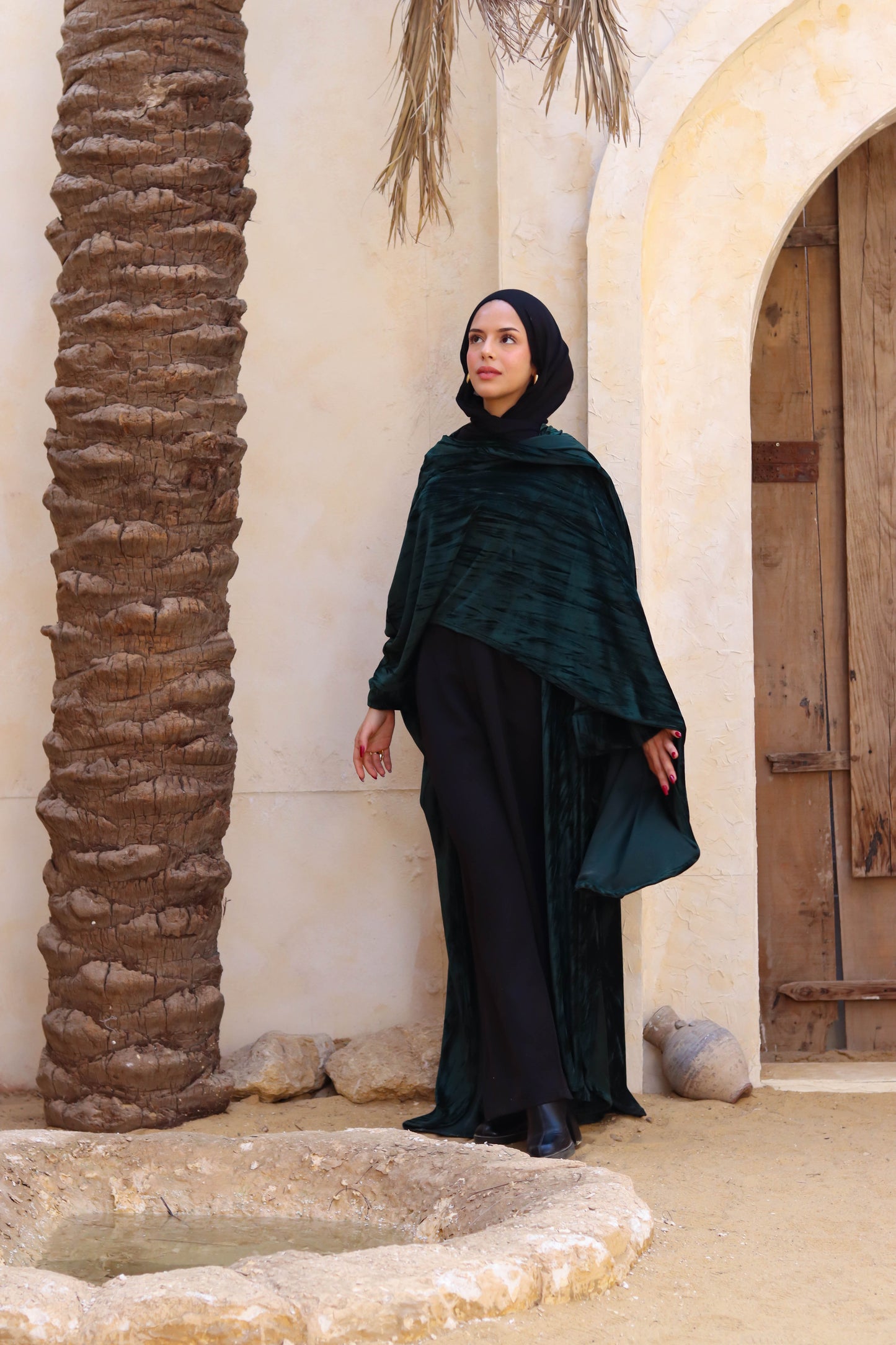 Zeina Shawl Kaftan In Green
