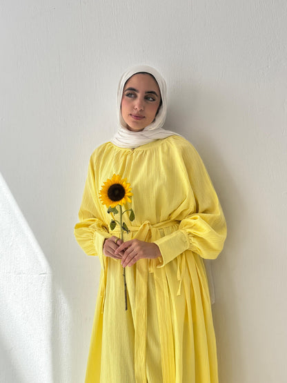 Euphoria Dress In Yellow