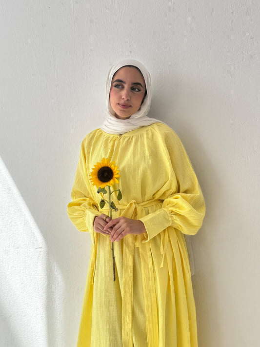 Euphoria Dress In Yellow